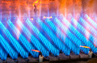 Fearn gas fired boilers